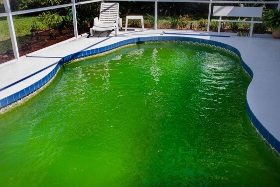 Цвет воды в бассейне